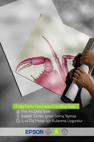 Postifull Frameless Wall Poster, Pink Crab, Illustration, Pink Color Poster, 2025 Summer Selection, No:109598