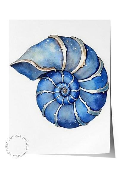 Postifull Frameless Wall Poster, Seashell, Illustration, Blue Color Poster, 2025 Summer Selection, No:109576