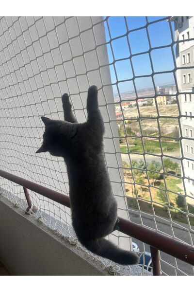 EKOAĞ Balkon Filesi 1x7 Metre Kedi Filesi | Kuş Filesi | Güvenlik Filesi
