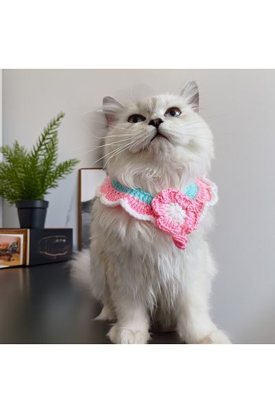 Lady Fify Collars for Cat and Dog in Various Colors and Patterns
