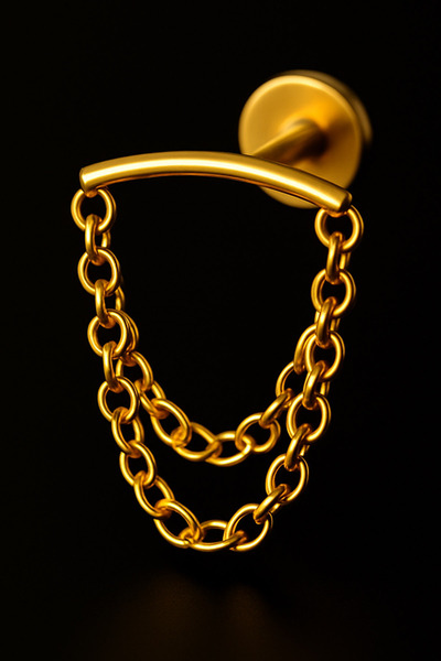 depozoom Titanyum Flatback Tragus Helix Conch Flat kıkırdak Gizli Zincir Pier...