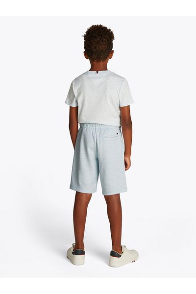 Tommy Hilfiger Boys Breezy Blue Heather Varsity Sweatshort