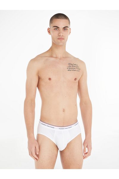 Tommy Hilfiger Tommy Hilfiger Men Multicolor Cotton Brief Pack of 3