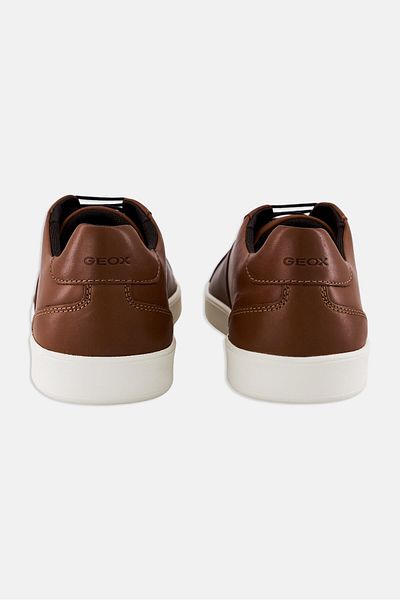 Geox Men Regio Lace Up Shoes, Brown