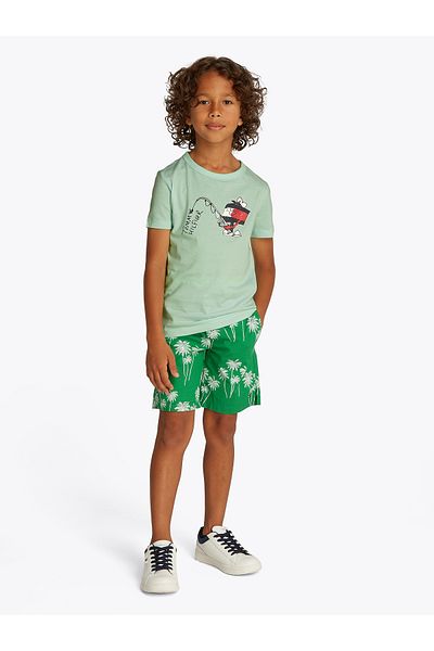 Tommy Hilfiger Boys Dew Green Flag Character Back Logo T-Shirt
