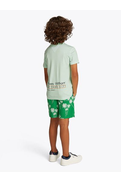 Tommy Hilfiger Boys Dew Green Flag Character Back Logo T-Shirt