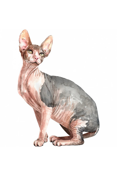 INOVATIX Set de 8 piese, autocolant Pisică fără păr cu urechi lungi, INOVATIX®. 6 cm