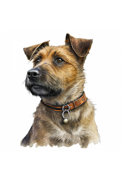 INOVATIX Σετ 8 τεμαχίων, Αυτοκόλλητο Σκύλου Border Terrier, INOVATIX®. 6 εκ.