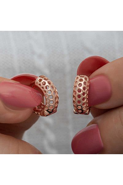 norsary Silver Rose Honeycomb Pattern Hoop Women's Earrings