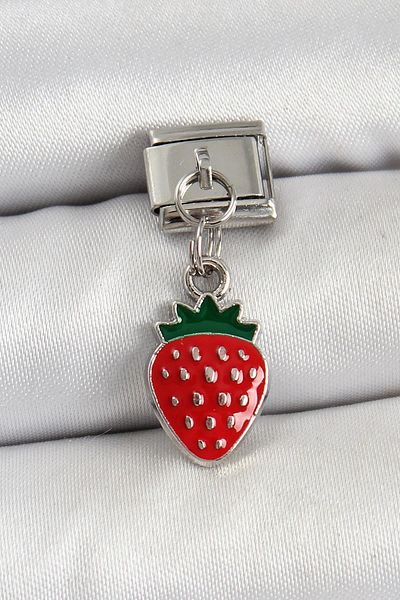 Celira Steel Dangle Strawberry Model Silver Color Nomination Charm