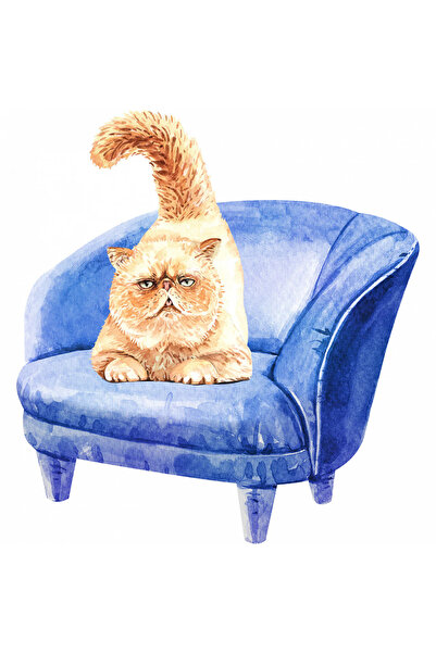 INOVATIX Set de 8 piese, autocolant Pisică pe fotoliu cu coada sus, INOVATIX®...