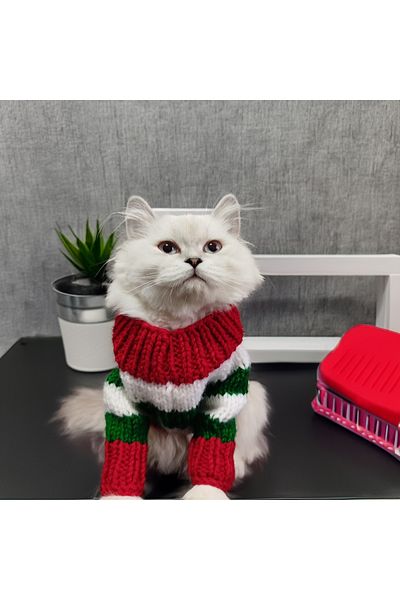 Lady Fify New Year's Sweater with Santa Claus and Stripes for Cat and Dog