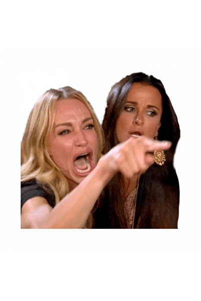 INOVATIX Σετ 8 τεμαχίων, αυτοκόλλητο meme με τη γυναίκα που φωνάζει σε γάτα, ...