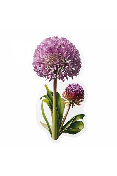 INOVATIX Set de 8 bucăți, autocolant Flori de Allium, INOVATIX®. 6 cm