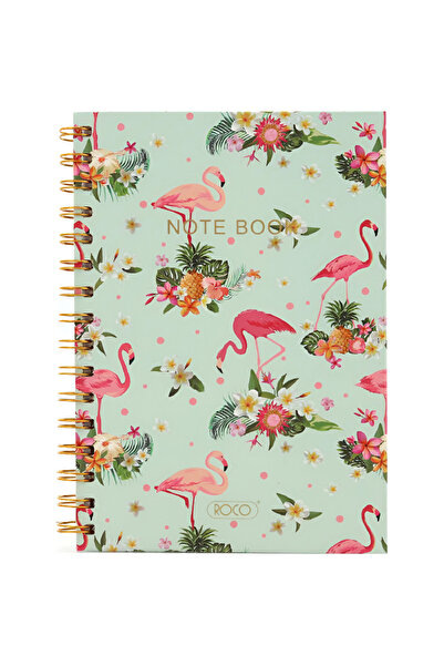 Roco دفتر ملاحظات فلامنجو A5، 80 ورقة، مسطر واحد (عربي)، أخضر/وردي