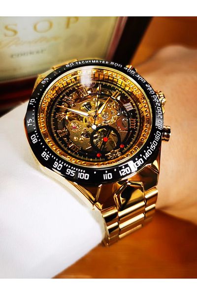 delis Winner CS1754 men's watch, automatic, stainless steel, gold, black-gold dial