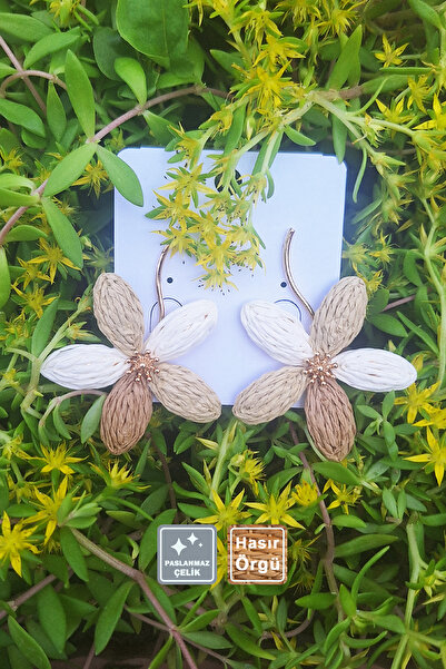 Miss TBee 🌅 أقراط صيفية من الفولاذ المقاوم للصدأ محبوكة من القش