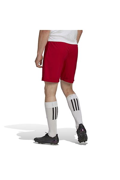 adidas Men's Red Shorts - H61735 Ent22 Sho