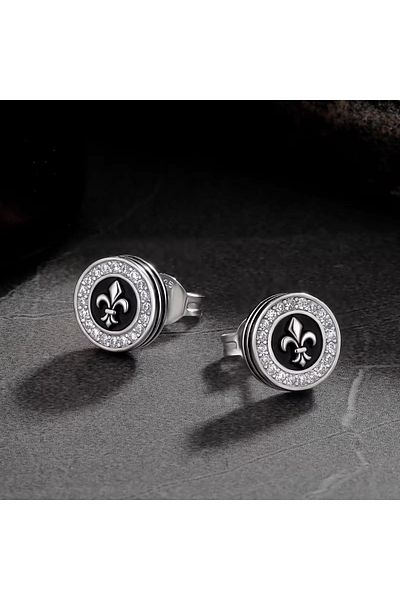 delis 925 silver earrings, JW1418, classic model, rhodium plated