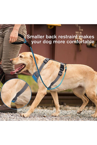 ERUW ham pentru câini, nailon, gri/albastru, mărimea L