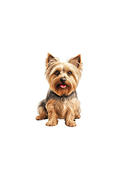 INOVATIX Set de 8 piese, autocolant Yorkshire Terrier șezând, INOVATIX®. 6 cm
