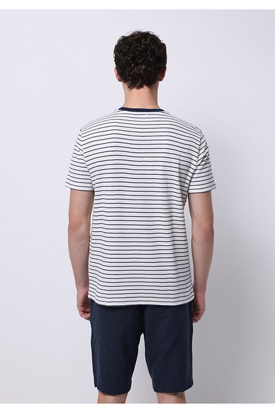 Colin's Regular Fit Round Neck Striped Men's Blue Short Sleeve T-Shirt
