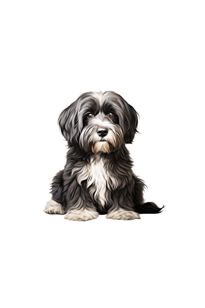 INOVATIX Set de 8 bucăți, autocolant Terrier Tibetan Negru, INOVATIX®. 6 cm