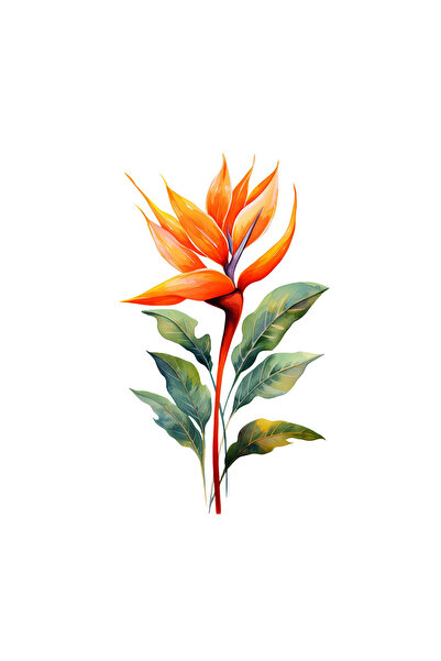 INOVATIX Set de 8 piese, autocolant Strelitzia mândră la soare, INOVATIX®. 6 cm