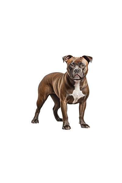 INOVATIX Σετ 8 τεμαχίων, Αυτοκόλλητο Staffordshire Bull Terrier, INOVATIX®. 6...