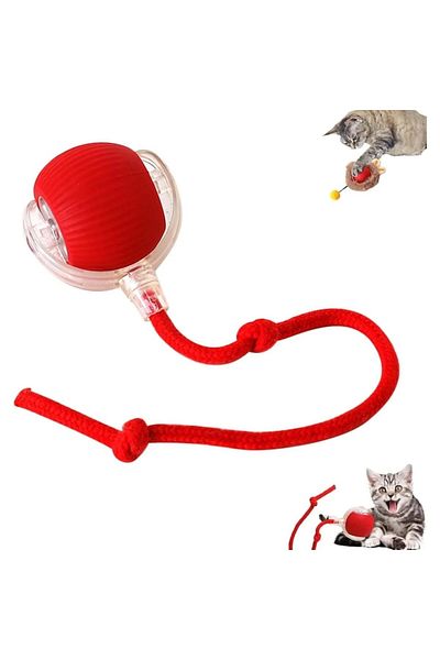 Sprise Interactive cat toy balls