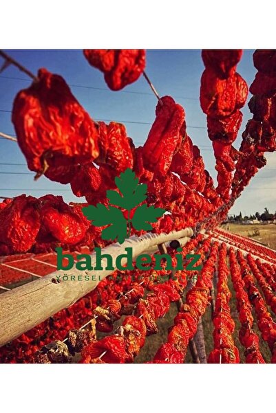 bahdeniz yöresel antep ürünleri Bahdeniz-Antep Dolmalık Topak Tatlı Biber