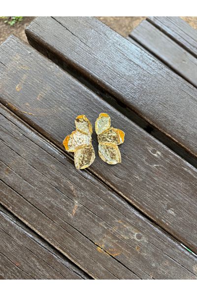 bijuxbymrv Zr Model Leaf Earrings