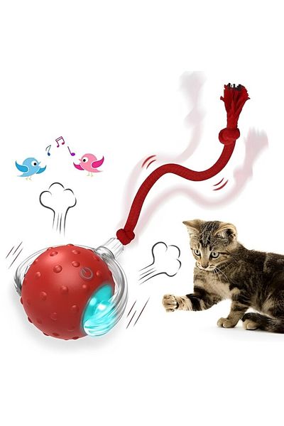 Sprise Interactive Toy For Cats
