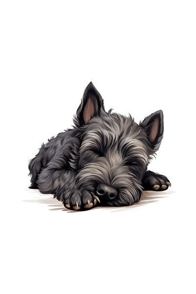 INOVATIX Set de 8 piese, autocolant Scottish Terrier, INOVATIX®. 6 cm