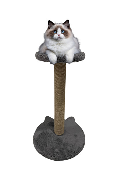 PETiTOYS 54 cm Cat Scratching Board with Ears and Seat