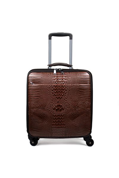 Dashenlu Dashinlo Cabin-Sized Luggage