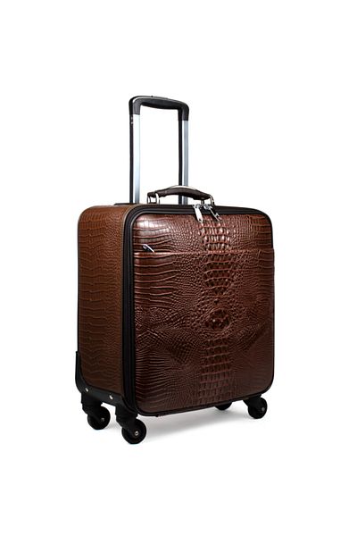 Dashenlu Dashinlo Cabin-Sized Luggage