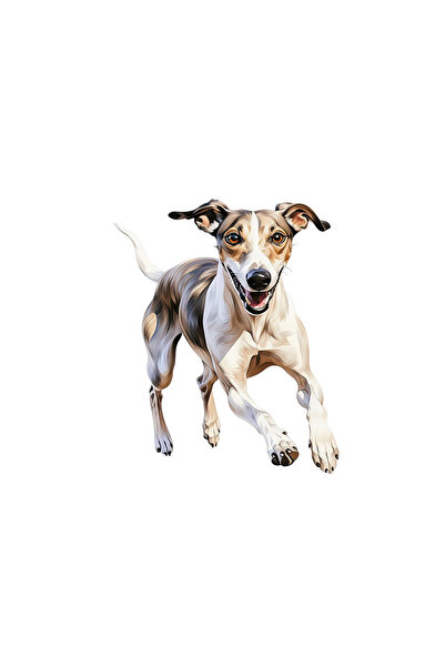 INOVATIX Set de 8 piese, autocolant cu ogar alergător, INOVATIX®. 6 cm