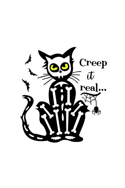 INOVATIX Set de 8 piese, autocolant schelet pisică târâtoare real, INOVATIX®....