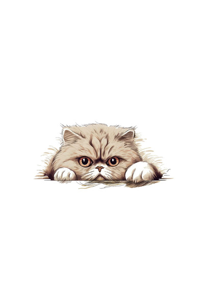 INOVATIX Set de 8 piese, autocolant pisică persană bej, INOVATIX®. 6 cm