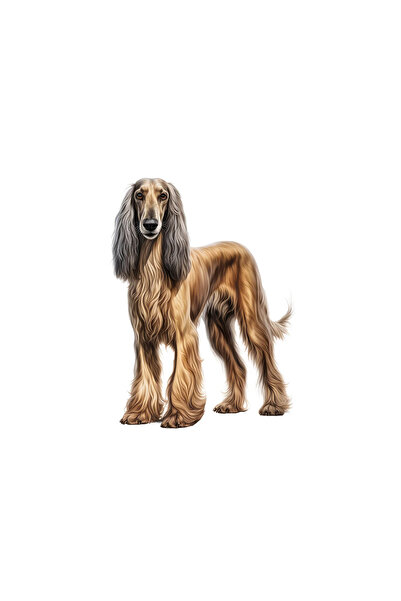 INOVATIX Set de 8 piese, autocolant portret câine afgan, INOVATIX®. 6 cm