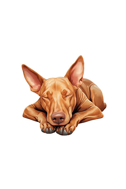 INOVATIX Set de 8 piese, autocolant Faraon Câine, INOVATIX®. 6 cm