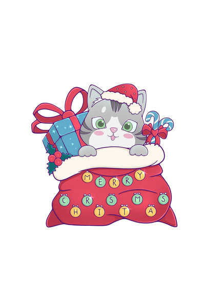 INOVATIX Σετ 8 τεμαχίων, Αυτοκόλλητο Pisca στην χριστουγεννιάτικη Τσάντα, INO...