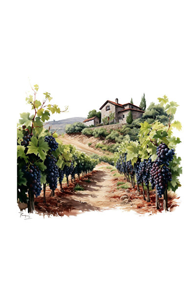 INOVATIX Set de 8 bucăți, autocolant plantație podgorie struguri roșii, INOVA...