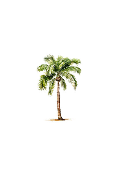 INOVATIX Set de 8 piese, autocolant palmier singuratic, INOVATIX®. 6 cm