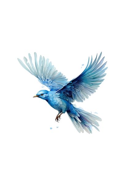 INOVATIX Set of 8 pieces, Blue Bird Sticker, INOVATIX®. 6 cm