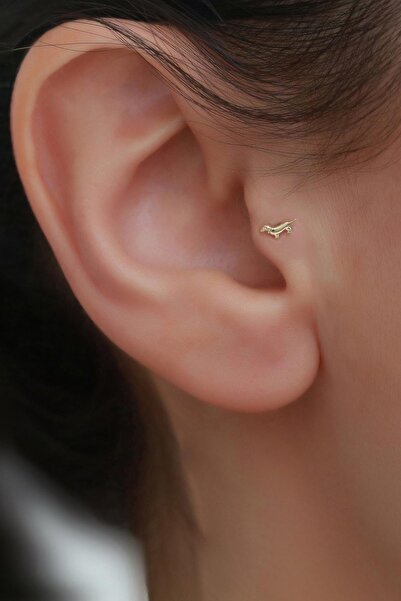 Bayar Gold 14 Ayar Altın Köpek Motifli Tragus Piercing