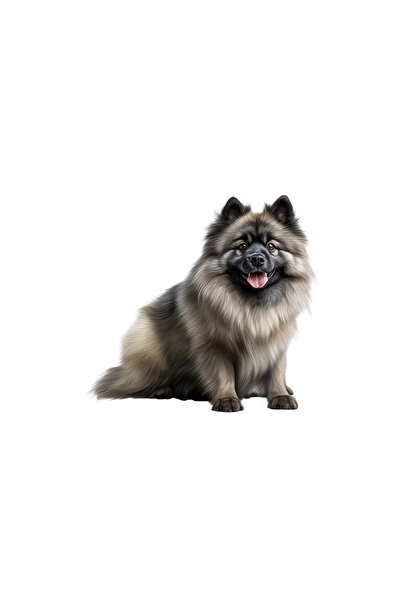 INOVATIX Σετ 8 τεμαχίων, Αυτοκόλλητο Keeshond καθιστό, INOVATIX®. 6 εκ.