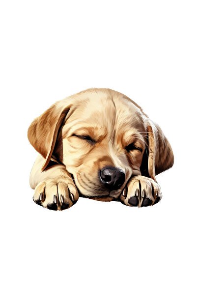 INOVATIX Set de 8 piese, autocolant Labrador Retriever, INOVATIX®. 6 cm