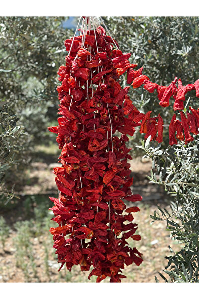Fethiyeden Gelsin Tatlı Kale Biberi (BİR DİZİDE YAKLAŞIK 35-42 ADET) – Doğal Ve Aromatik